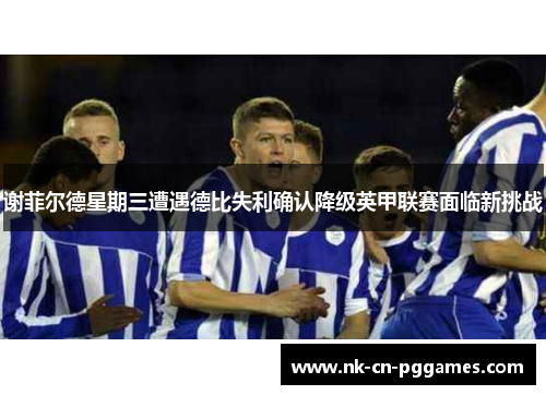 谢菲尔德星期三遭遇德比失利确认降级英甲联赛面临新挑战 谢菲尔德星期三遭遇德比失利确认降级英甲联赛面临新挑战